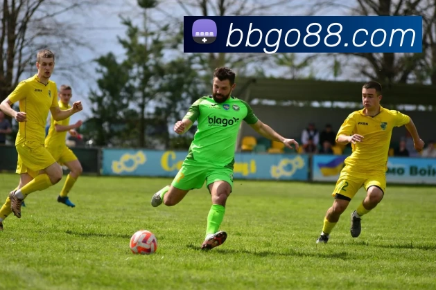 多媒体互动体验